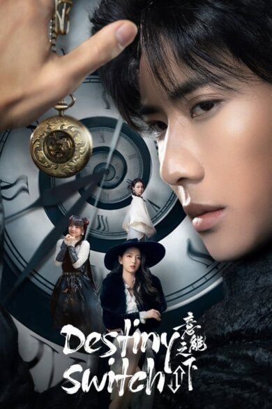 Destiny Switch (2025)