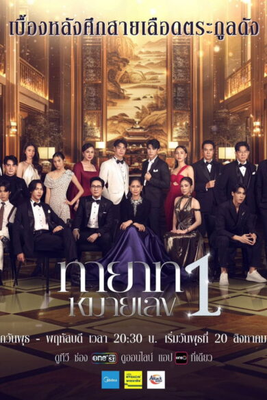 The Successor (2025)