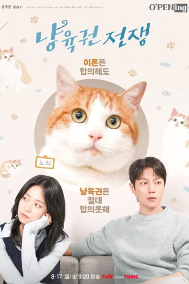 O'PENing 2025: The Catstody War (2025)